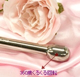 �Q���}�j�E�����[���[�@�t�F�C�X���{�@�����̔�